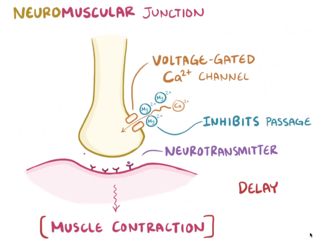 Calcium and nerve function
